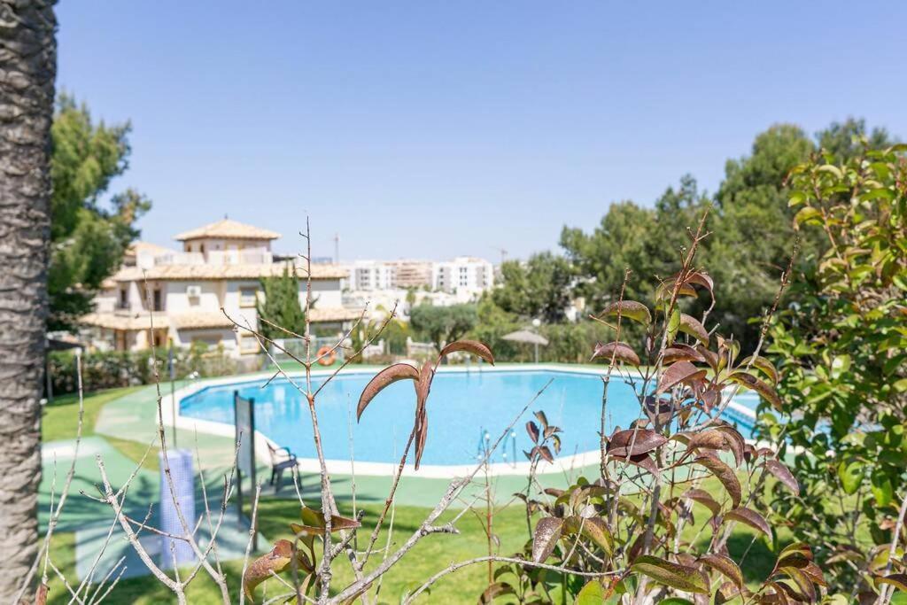 Casa Lilly-Rose, A Beautiful 3 Bedroom Detached Villa A Short Walk To The Villamartin Plaza & Golf Course מראה חיצוני תמונה